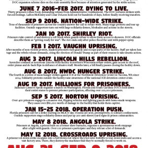 Prison Strike timeline poster