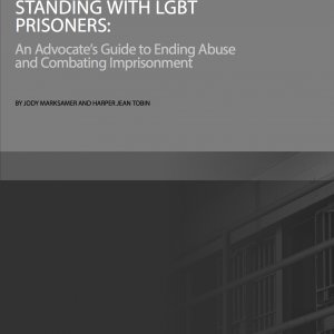 Cover of Standing with LGBT Prisoners: An Advocate's Guide to Ending Abuse and Combatting Imprisonment