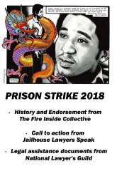 Prison Strike 2018 Fire Inside Endorsement Zine cover