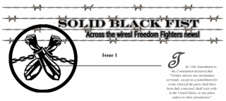 Solid Black Fist Newsletter header