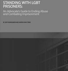 Cover of Standing with LGBT Prisoners: An Advocate's Guide to Ending Abuse and Combatting Imprisonment